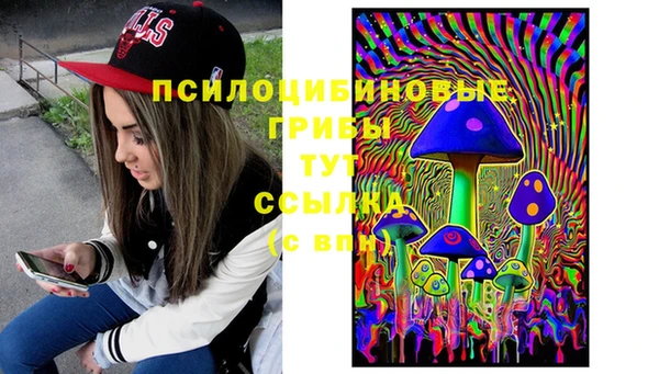 бошки Алексеевка