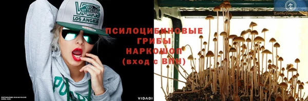 бошки Алексеевка