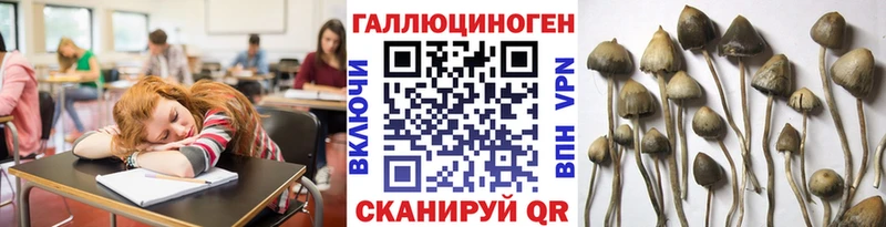Псилоцибиновые грибы Magic Shrooms  Кимры 