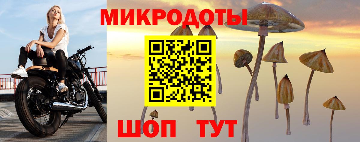 Псилоцибиновые грибы Magic Shrooms  Галлюциногенные грибы GOLDEN TEACHER  Вход с VPN  Кимры 
